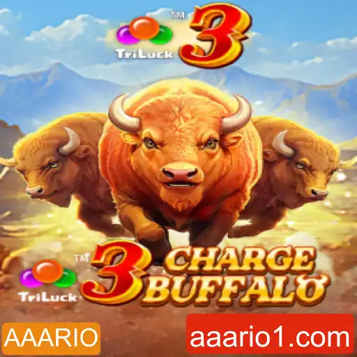 Descubra o Mundo Empolgante de 3ChargeBuffalo